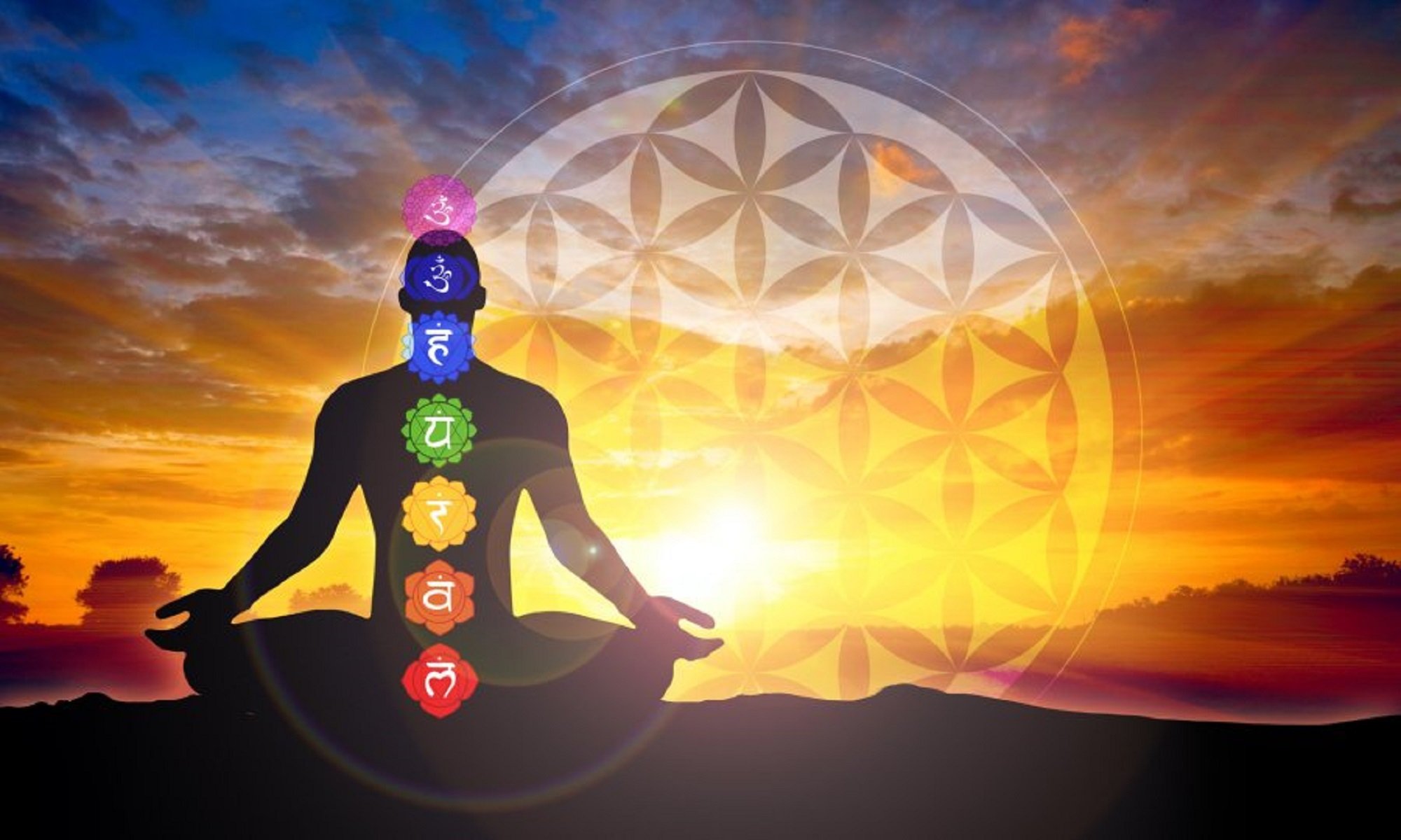 Tantric Chakra Journey Chakra Breathing Meditation Tantra Nectar 