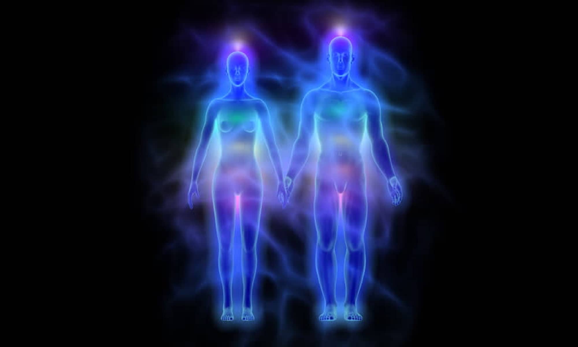 Sex chakras during THE REPRODUCTIVE